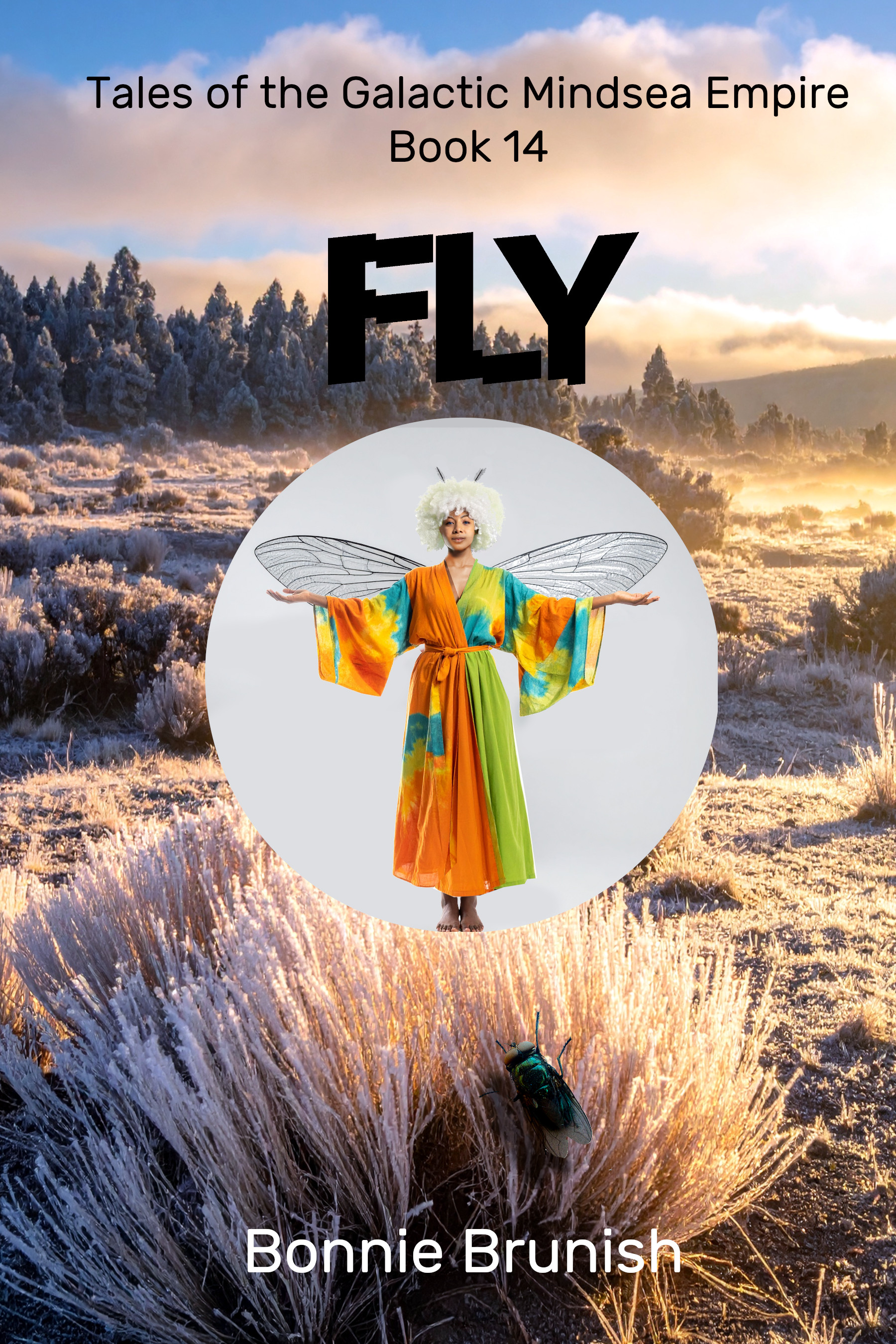 Fly